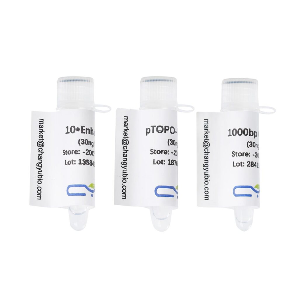 Changyu Bio pTOPO-TA Cloning Kit carton, Cat# CYCV14