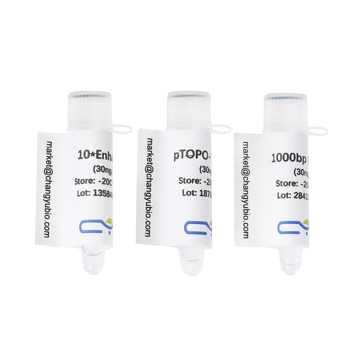 pTOPO-TA Simple Cloning Kit