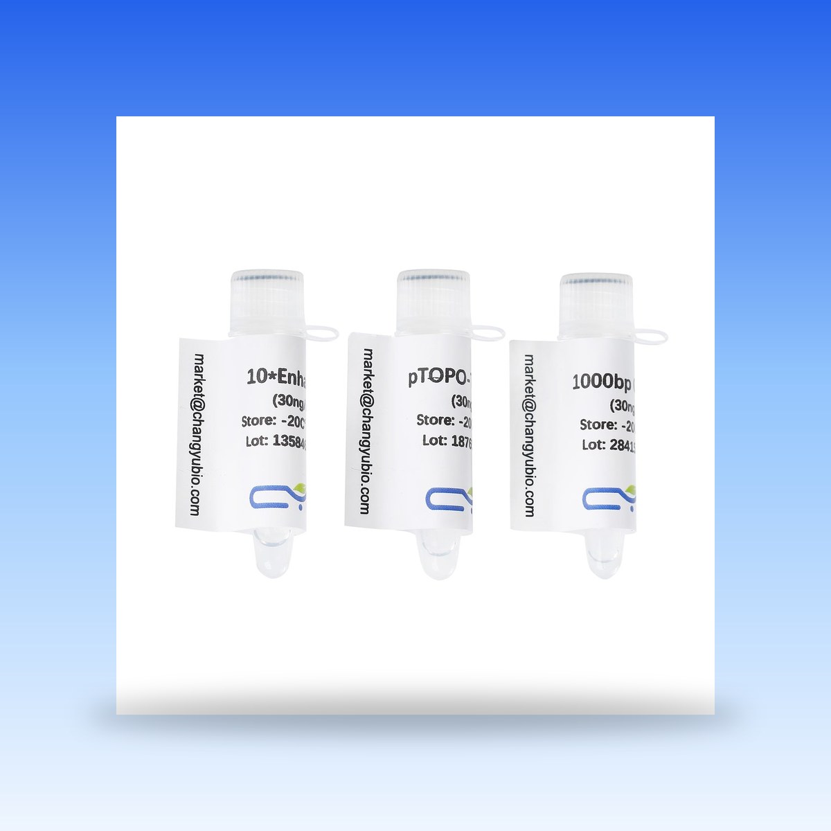 pTOPO cloning kits