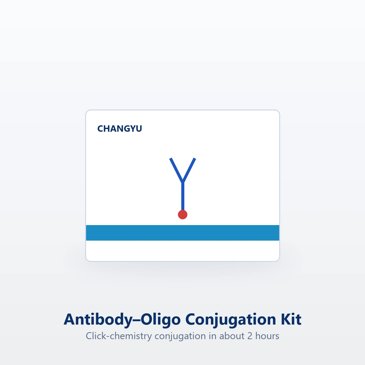 Antibody–Oligonucleotide Conjugation Kit